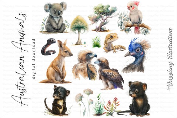 Beautiful Australian Watercolor Animals: A Designer’s Review for Real Client Projects