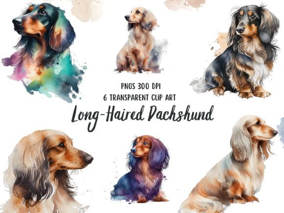 Charming Long-Haired Dachshund Watercolor Clipart for Boutique Branding & Packaging