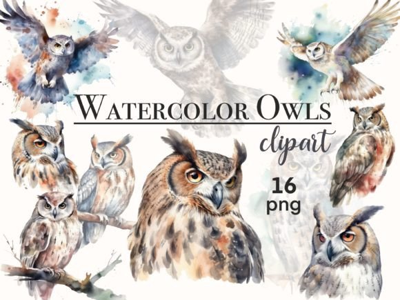 Elegant Watercolor Owl Clipart for Authentic Brand Illustrations