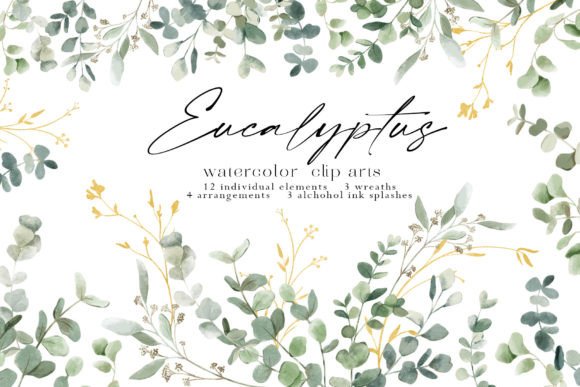 Eucalyptus Watercolor Illustrations for Crafting & Handmade Business