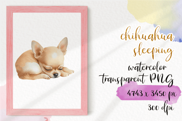 h1Chihuahua Sleeping Watercolour Illustrations for Brand Storytelling/h1