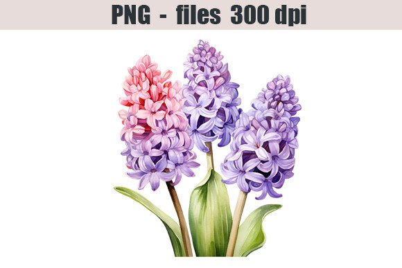Hyacinth Flower Watercolor Clipart for Embroidery