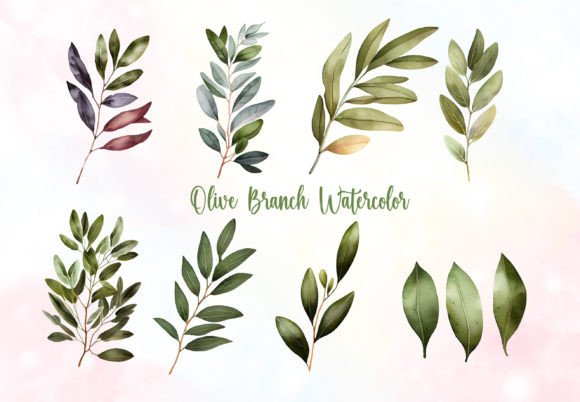 Olive Branch Watercolor Clipart: A Designer’s Honest Take for Real Embroidery Use