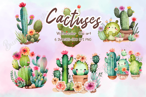 Watercolor Cactus and Succulents Illustrations: A Brand Designer’s Review for Local Business Branding