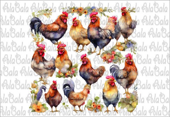 Watercolor Chicken Png, Sublimation Illustrations Review