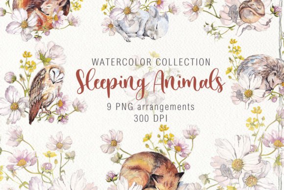 Watercolor Cute Sleeping Animals Illustrations Review
