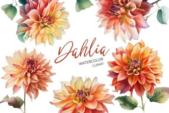Watercolor Dahlia Clipart: A Designer’s Real-World Embroidery Review