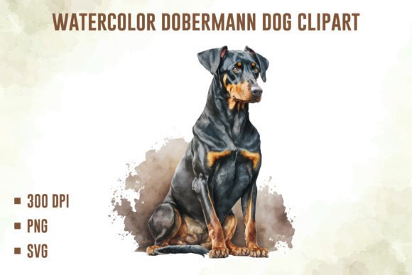Watercolor Dobermann Dog Clipart: A Designer’s Honest Review for Branding & Marketing Use