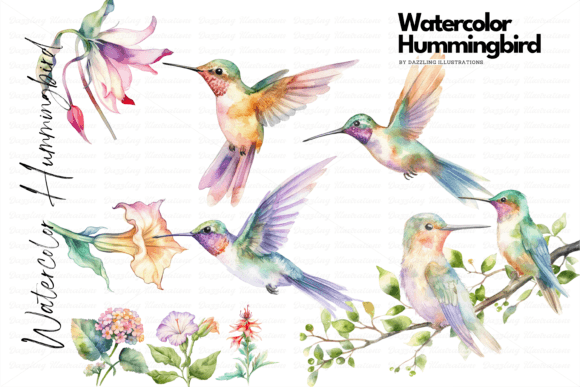 Watercolor Hummingbird Set with Flowers