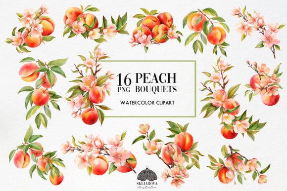 Watercolor Peach Bouquets Illustrations Review