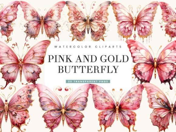 Watercolor Pink Gold Butterfly Illustrations Review