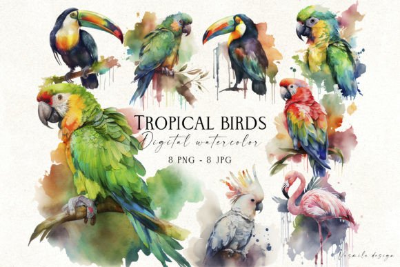 Watercolor Tropical Birds Illustrations for Crafters & Handmade Sellers